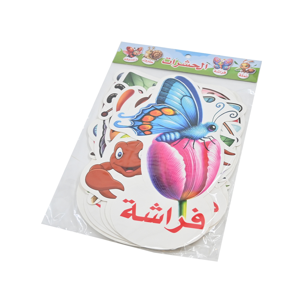 كرت تعليمي حشرات بالعربية DANDY 1025-432