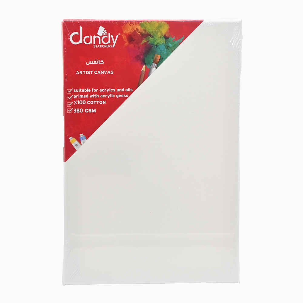 لوحة كانفس ابيض 20*30 DANDY